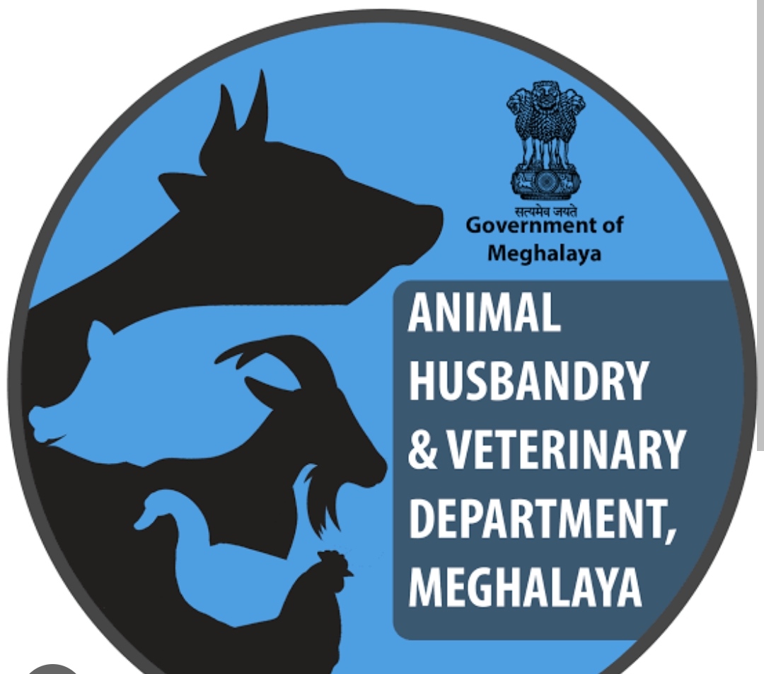 Poultry shortage in GH due to bird flu in source states Meghalaya Monitor