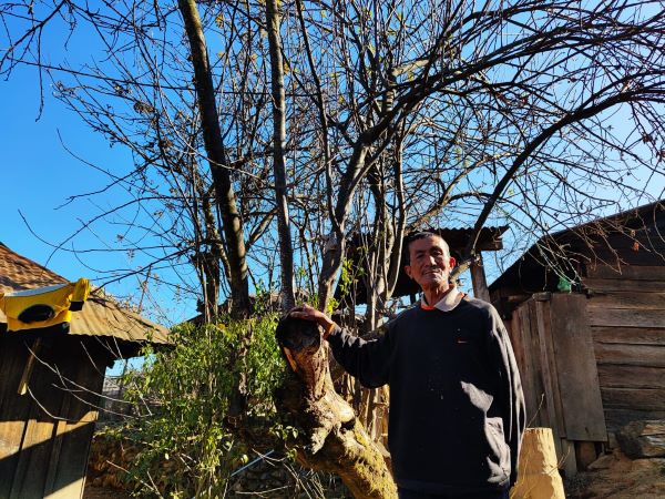 Ningchemong Yimchung in front of the first apple tree in the village of Thanamir, Nagaland. Photo by MM