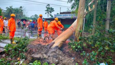 NDRF jawans remove trees in Hasnabad in West Bengal on Monday. UNI