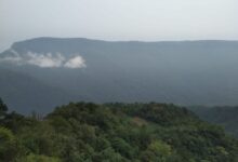 The green cover in East Khasi Hills. Photo by MM