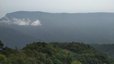 The green cover in East Khasi Hills. Photo by MM