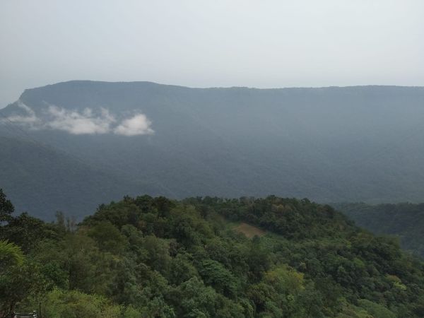 The green cover in East Khasi Hills. Photo by MM