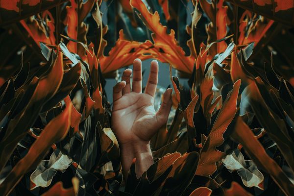 The Citizen in the novel by Gyan Chaturvedi struggles to find a way out of the maddening Market. Photo by Alan Cabello on Pexels