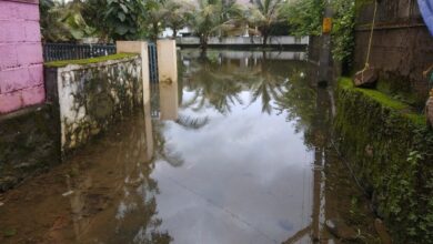 Angamaly, Kerala, floods in 2019. India’s role is significant in the global advisory, as it occupies a unique position as both the world’s third-largest emitter and being highly vulnerable to climate impacts like floods. Image by Ranjithsiji via Wikimedia Commons (CC BY-SA 4.0).