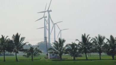 Wind turbines near paddy fields. Representative image by Yahoo! Blog via Wikimedia Commons (CC BY 2.0).