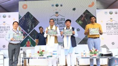 Shivraj Singh Chouhan and Conrad Sangma at the Meghalaya Pineapple Festival in New Delhi on Friday. Photo sourced