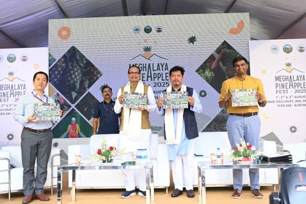 Shivraj Singh Chouhan and Conrad Sangma at the Meghalaya Pineapple Festival in New Delhi on Friday. Photo sourced