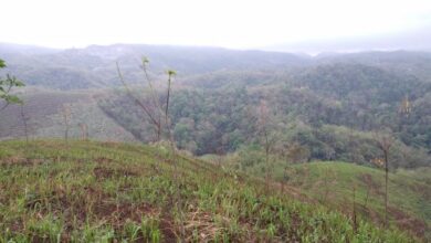 In the context of the Dima Hasao case, we can say the Sixth Schedule will be fruitful not by its mere existence but only if its spirit is conserved, which is equal access of tribal land to the tribal populace. A representative image. Photo by MM