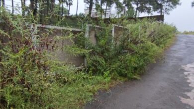 Nongrah murder: Lum Rumnong at Mawpat where the body was found. Photo by MM