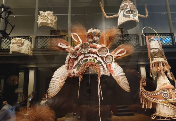 A section of the Australian Museum. Photo by author