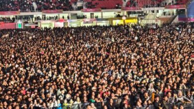 The crowd at the Cherry Blossom Festival. Photo by MM