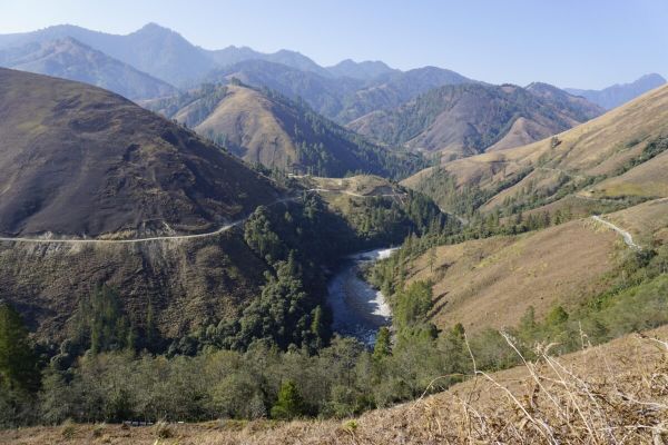 Mishmi Hills, Dibang Valley district, Arunachal Pradesh. In 2024, a comprehensive survey was launched to map the Mishmi takin’s distribution and population in Arunachal Pradesh and parts of Sikkim, covering Dibang Valley, Siang, Subansiri, and Lohit-Changlang and including Namdapha and Mouling National Parks. Image by Divya Kilikar/Mongabay.
