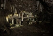 The “Hanging Garden” inside the cave. Image courtesy of Banyllashisha Wankhar. (First published in Mongabay)