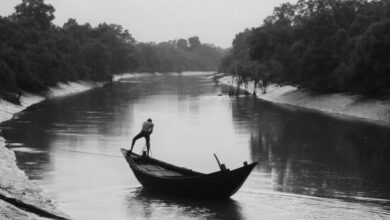 Photo representational. Photo by RatuL CR♠️ on Pexels