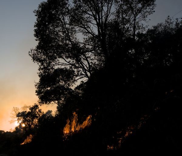 Active fire near Mawsynram. Photo by author
