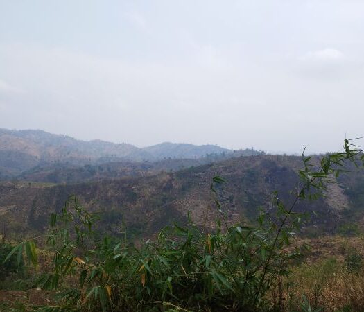 Burnt hills in Ri Bhoi. Photo by author