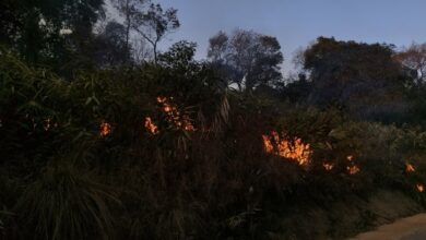 Active fire near Mawsynram. Photo by author