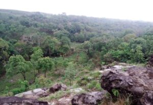 A view of Balpakram. Photo sourced