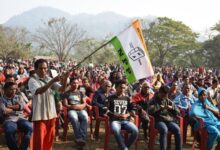 Image from the NPP website.