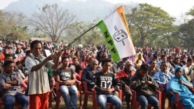 Image from the NPP website.