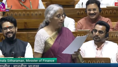 A video grab of Nirmala Sitharaman from a post on X.