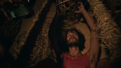 A shot from Kok Kok Kokoook. Photo sourced