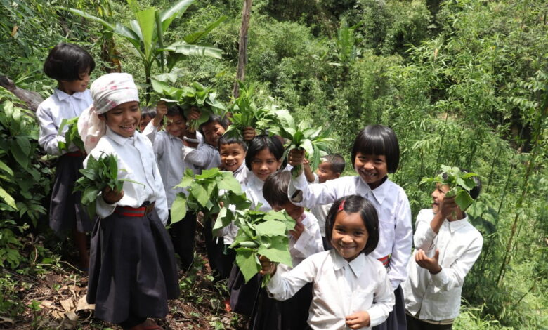 School children harvesting green leafy vegetables from the school garden in Meghalaya. Image courtesy of NESFAS (from Mongabay website)